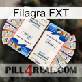Filagra FXT kamagra1